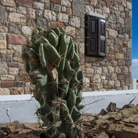 Roccia Di Isidoro Tatil Evi Agios Isidoros (Rhodes)
