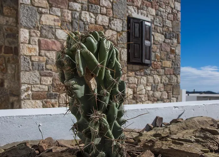 Roccia Di Isidoro Casa vacanze Agios Isidoros (Rhodes)